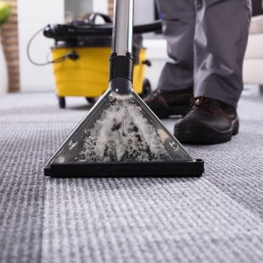 Why Does My House Smell Musty? 8 Causes and How to Fix Them