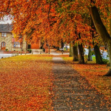 How to Keep Your London Home Clean During Autumn: A Practical Guide