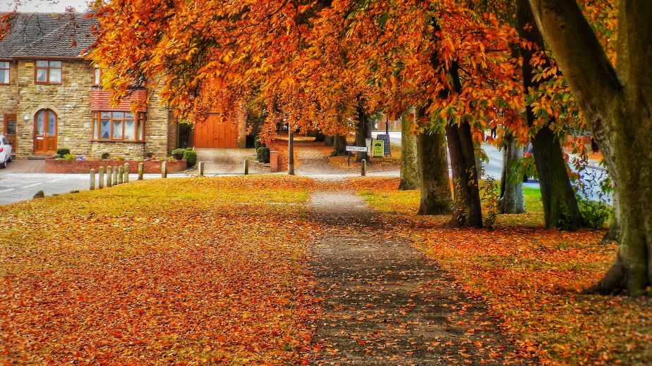 Autumn Cleaning London